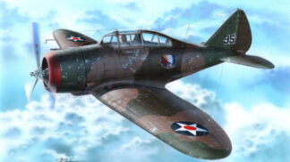 Special Hobby	1/72	P-35 War games and War Training