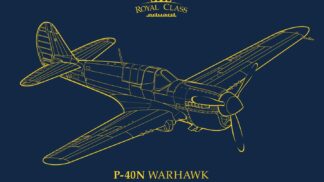 Eduard 1/48 P-40N WARHAWK ROYAL CLASS DUAL COMBO