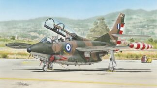 Special Hobby 1/32 T-2 Buckeye "Camouflaged Trainer" (DAÑADOS)